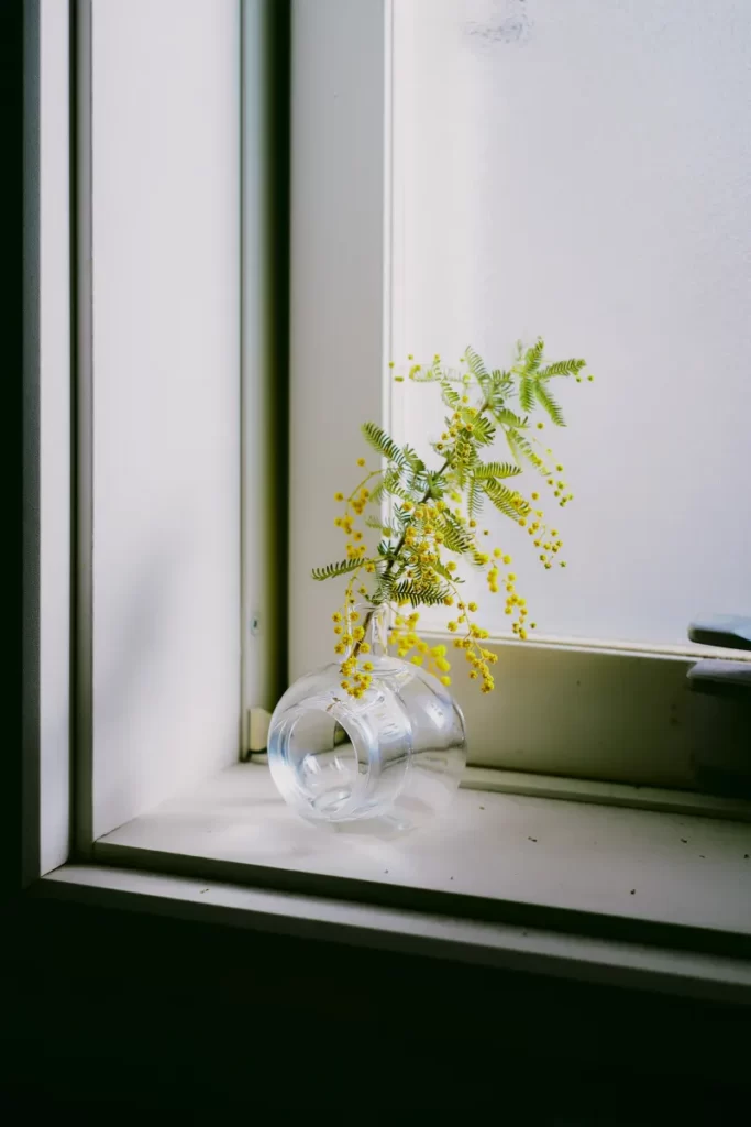 窓と花